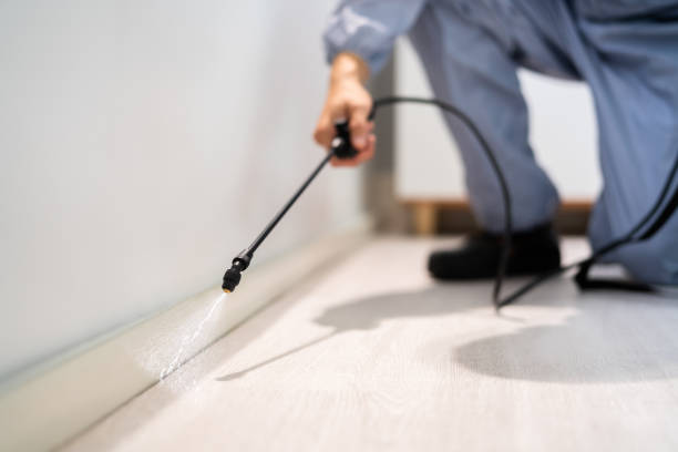 Licensed Pest Control service in Montalvin Manor, CA - Show Me Pest Control