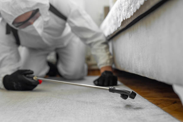 Professional Ant Control technician working in Montalvin Manor, CA